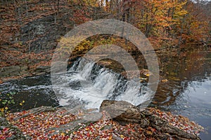 The Bronx, New York, USA: An autumn-colored forest scene with a stream and a small waterfall