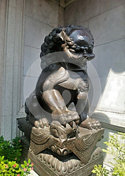 Bronz Chinese lion guarding Chinese shrine photo