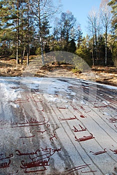 Bronze age rock carvings in Tanum in winter