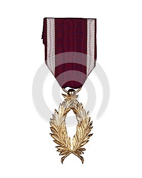 A Bronze awarded for valor in action photo