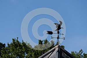 Bronze bird weathervane on top of cupola