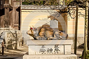 Bronze bull statue in Dazaifu shrine in Fukuoka Prefecture