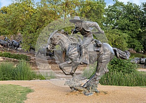 Bronze cowboy on horseback with steers in the background in the Pioneer Plaza, Dallas, Texas.