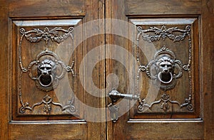 Bronze door handle in the shape of a lion`s head.