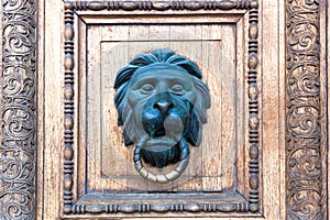 Bronze door handle in the shape of a lion`s head