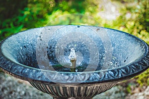 Bronze fountain from which flows the water