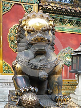 A bronze gilded sculpture of a guardian lion at the entrance to the building, Forbidden City, Beijing