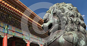 Bronze Guardian Lion Statue in the Forbidden City, Beijing, China