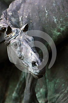 Bronze horse