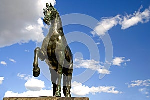 Bronze horse statue in prag