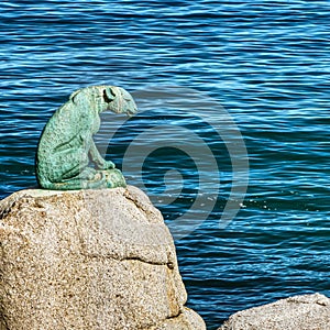 Bronze Leopard of Hout Bay