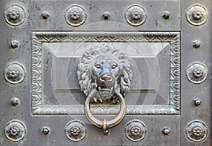 Bronze lion