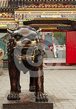 Bronze lion in Dazhao Temple, Hohhot, Inner Mongolia