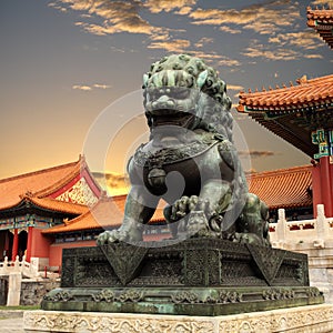 Bronze lion in the forbidden city