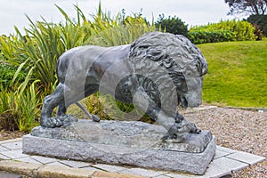 Bronze Lion Sculpture in the Slieve Donard Hotel Grounds