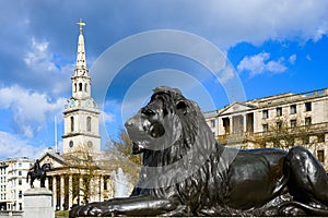 Bronze lion by Sir Edwin Landseer in Trafalgar Square with church spire
