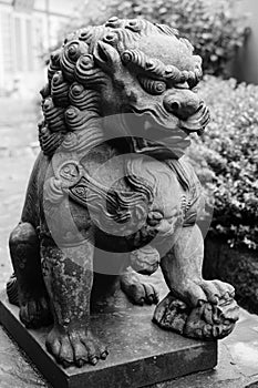 Bronze lion statue