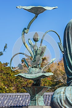 Bronze Lotus on the side of the Great Buddha of Kamakura