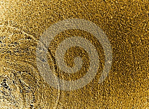 Bronze macro world texture background