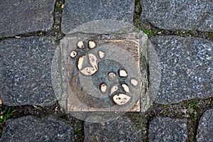Bronze paws of an animal on a sidewalk in the city of Bremen