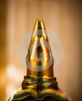 Bronze Praying Hands