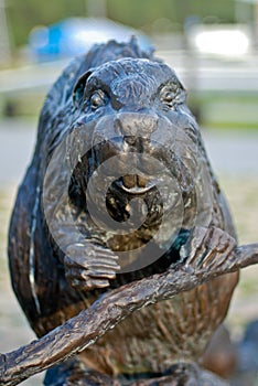 Bronze sculpture of a beaver