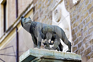 The bronze sculpture copy of The Capitoline Wolf