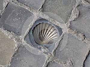 Bronze Shell Symbol of the Pilgrims of Saint James on Cobblestones photo