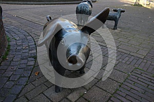 Bronze statue of a curious pig with long ears . Monument called Schweinehirt und seine Herde in Bremen