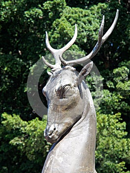 Bronze Statue, Deer, Sydney, Australia photo