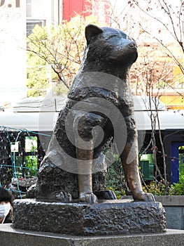 Bronze Statue Of The Famous Dog Hachiko, Hachiko Square, Shibuya, Tokyo, Japan photo