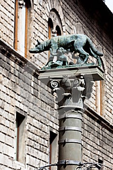 Lupa Capitolina Capitoline Wolf Symbol Siena, Tuscany, Toscana, Italy, Italia photo