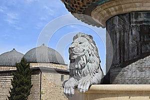 Bronze statue of a lion and a fountain in the center of Skopje (North Macedonia) on the background photo