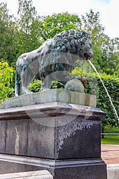 Bronze statue of lion. Fragment of fountain Lion`s cascade in Lower park of Peterhof in St. Petersburg, Russia