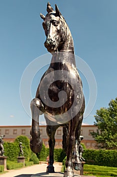 Bronze  statue of moving Horse in park in Prague,Czech republic.