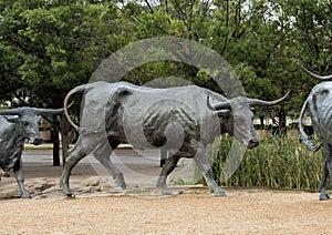 Bronze Steer Sculpture Pioneer Plaza, Dallas