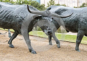 Bronze Steer Sculpture Pioneer Plaza, Dallas