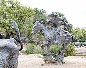 Bronze Steers and Cowboy Sculpture Pioneer Plaza, Dallas