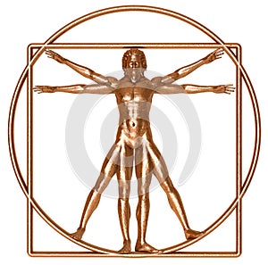 Bronze Vitruvian Man photo