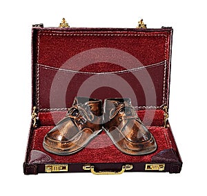 Bronzed Baby Shoes in Briefcase