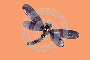 Brooch in form of a dragonfly with shine on an orange background