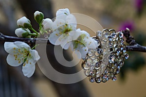 Brooch and white flowers 2