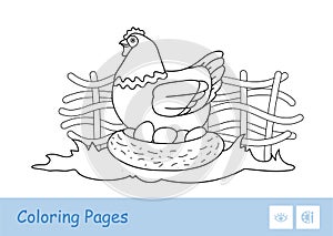 Brood chicken sitting on eggs in nestle on countryside farm bird yard contour kids coloring book illustration.