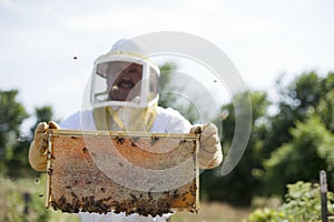 Brood and Honey photo