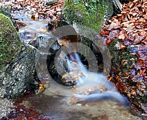 Brook in autumn forest