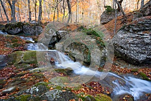 Brook in autumn forest