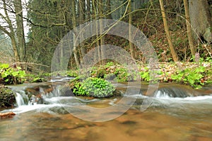 Brook in Eagle mountains