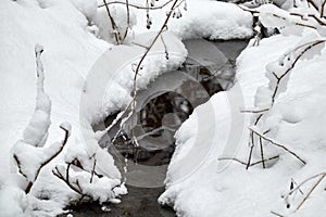 The brook flowing through the forest in winter