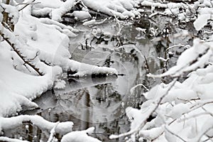 The brook flowing through the forest in winter