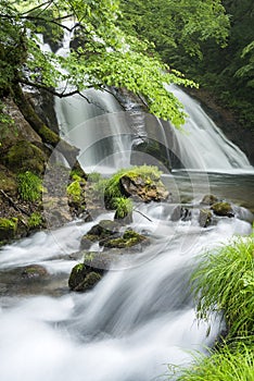 Brook flowing from waterfall